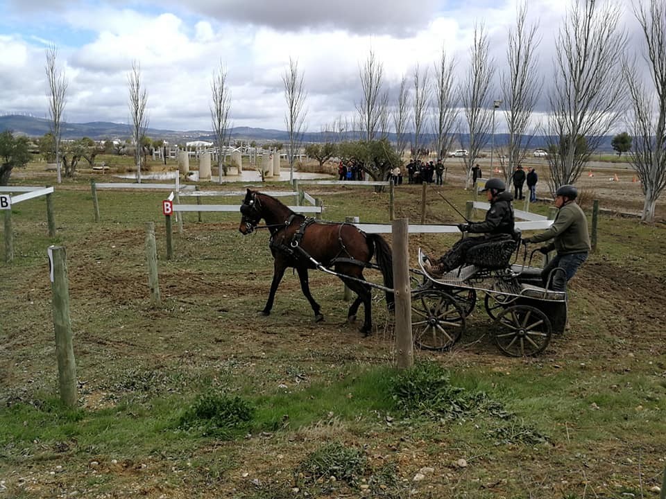 Resultados 1ª Fase del Campeonato Navarro de Enganches 2018 en el Club Deportivo Enganches Finca "La Pinturita"